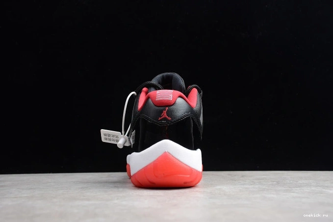 Chep Onekick  mens 11 Air 